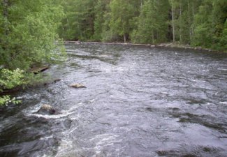 Обнародованы результаты мониторинга рек Кура и Араз