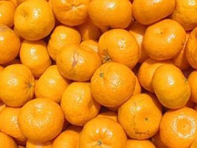 В садах Лянкяранского района полученбогатый урожай мандаринов