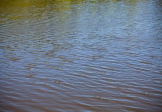 Обнародованырезультатыисследований уровня водности рек