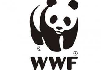 Директор WWF в Азербайджане: «В советское время наш леопард был объявлен врагом народного хозяйства и подлежал истреблению…»