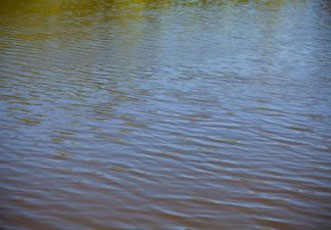 Обнародованы результаты исследований, связанных с водностью рек