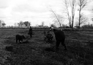 Ретроспектива