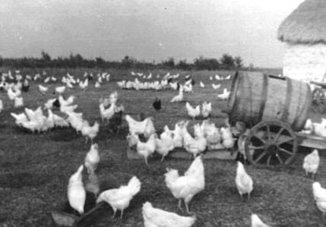 Ретроспектива