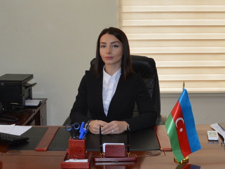 Лейла Абдуллаева: «Документ, принятый Советом австралийского города Райд, не представляет никакого юридического значения»