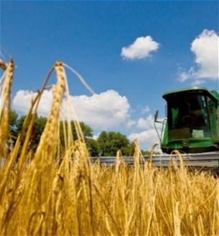 Рост экспорта продукцииаграрного сектора