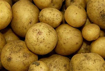 Уборка раннего картофеля