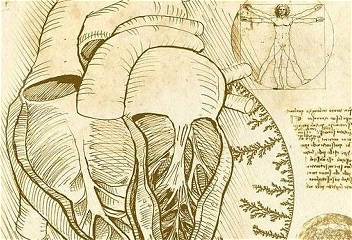 Смысл рисунка Леонардо да Винчираскрыли спустя 500 лет