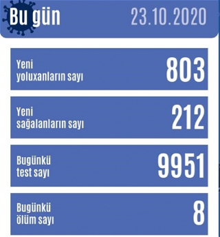 В Азербайджане зарегистрировано 803 новых фактазаражения коронавирусом,выздоровели 212 человек