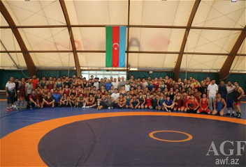 Обнародованапрограмма КМ