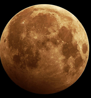 NASA опубликовалокарту «лунных» деревьев