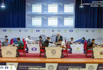 Четыре лидера шахматного чемпионата
