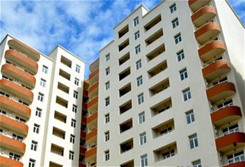 Социальная защита в центре внимания