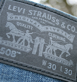 Мексика обвиняет американский бренд Levi's в использовании рисунков местных ремесленников штата Оахаки