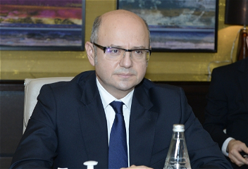 Парвиз Шахбазов: 5,1 млрд кубометров природного газа, транспортированного в Турцию за 11 месяцев, пришлось на долю TANAP