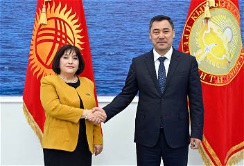 Тюркская солидарность