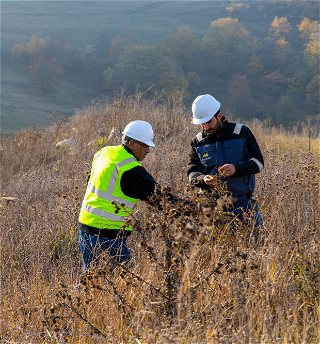 ЗАО AzerGold реализует проект по разведению и реинтродукции редких видов растений, занесенных в «Красную книгу»