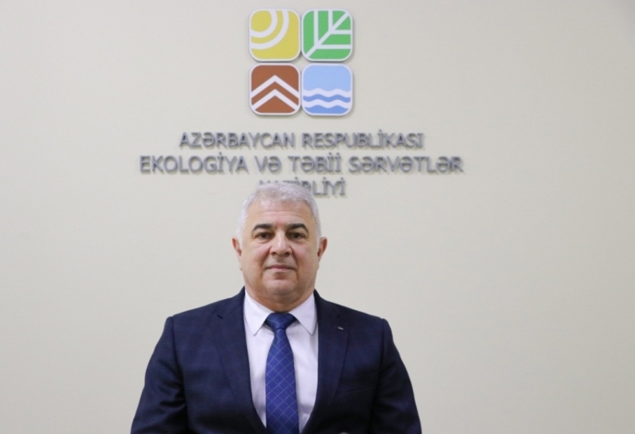 Шаг к устойчивой цивилизации