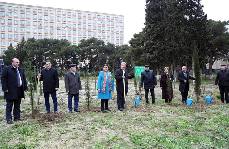 В Парке редких деревьев НАНА прошла очередная акция по посадке деревьев