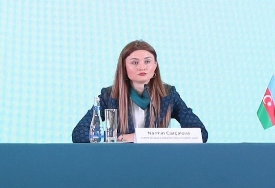 Веб-сайт COP29 будет запущен на этой неделе