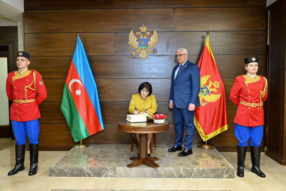 Друзья и надежные партнеры