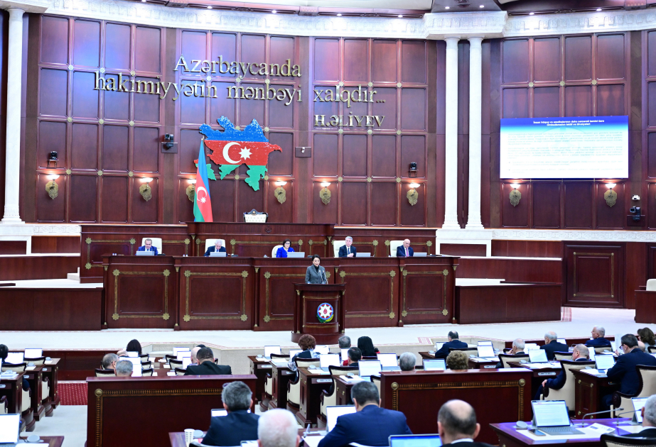 В парламенте заслушан ежегодный доклад омбудсмена о защите прав человека в стране в 2024 году