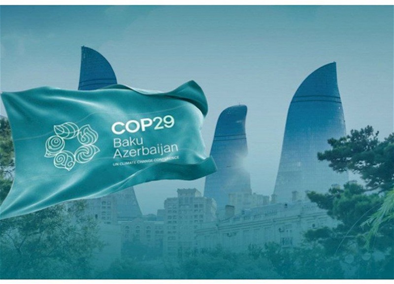 СОР29 vs СОР30: сравнивать не с чем