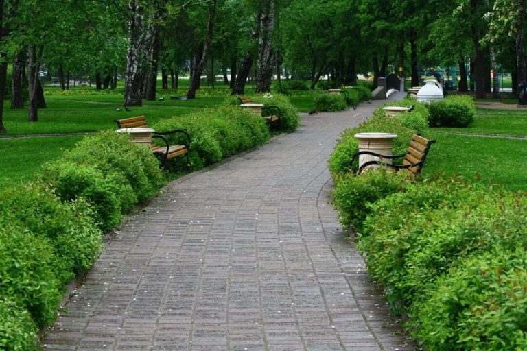 В Физули появится новый парк