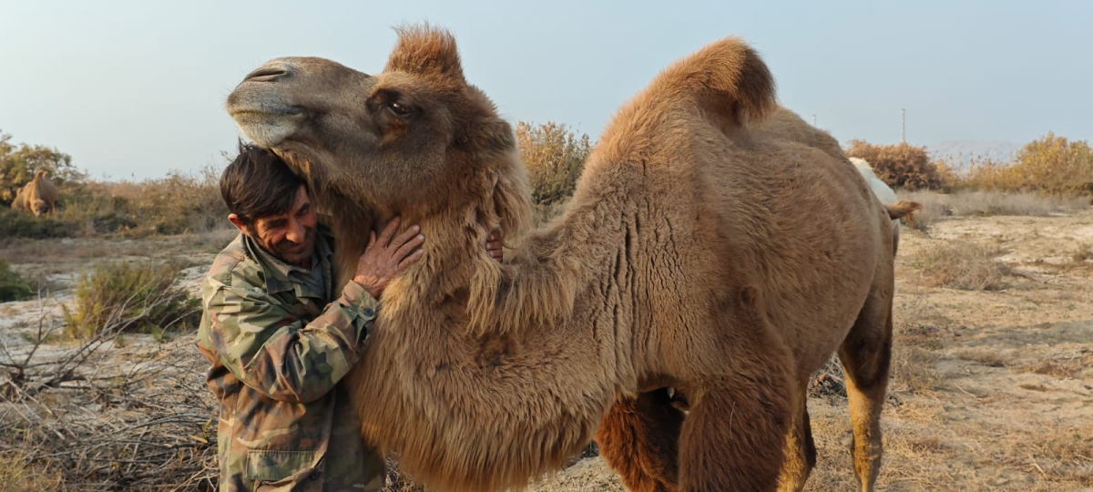 Хранители кочевой памяти