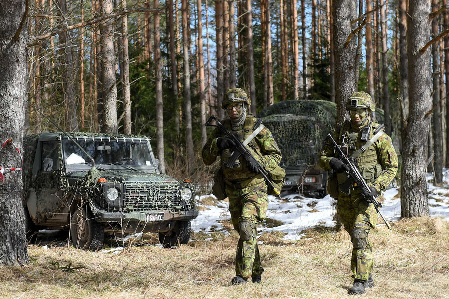 Эстония в 2026 году потратит на оборону рекордную в своей истории сумму