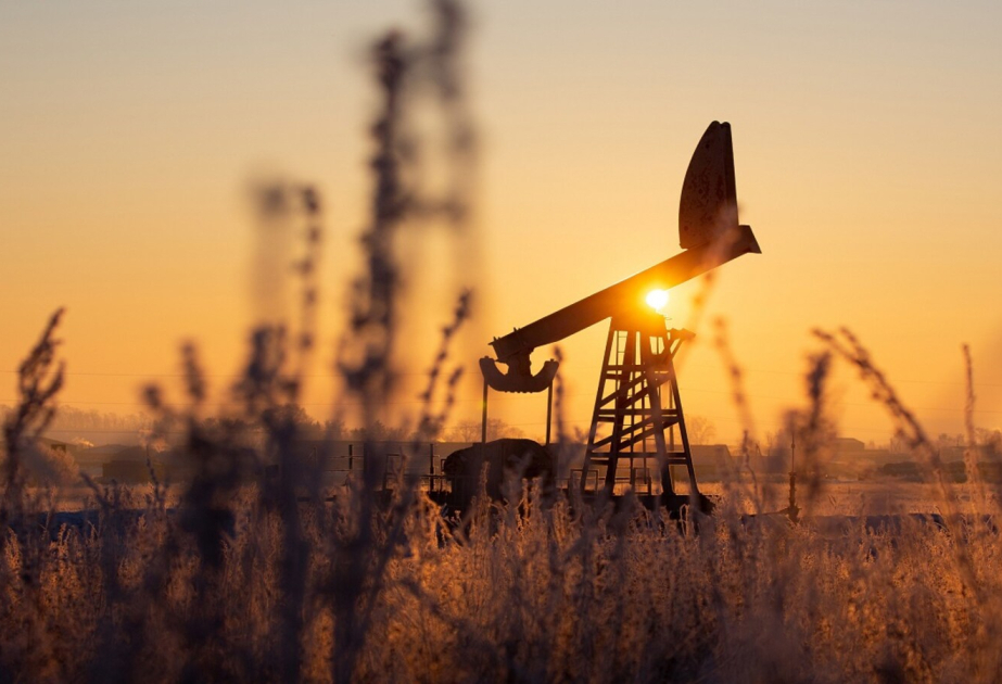Нефть подорожала на мировых биржах