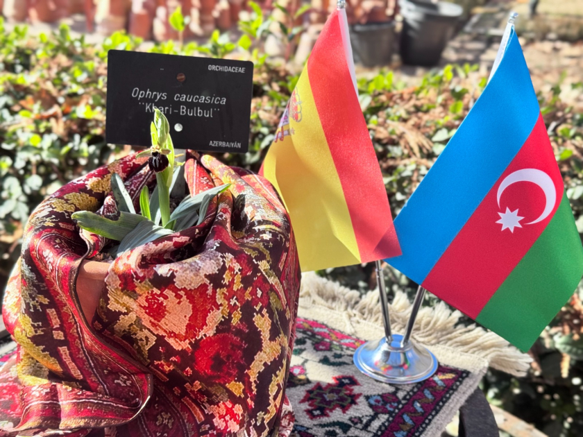 В преддверии 34-й годовщины Ходжалинского геноцида в Мадриде вновь зацвел харыбюльбюль