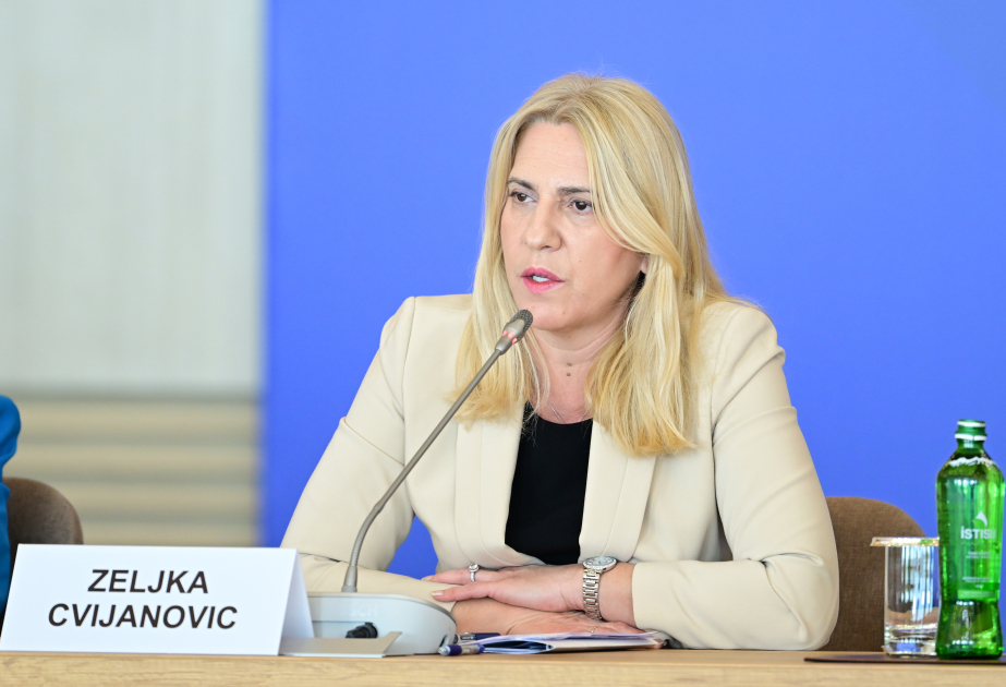Желька Цвиянович: Мир нуждается в диалоге