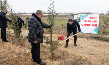 В Шамкире снова зазеленела весна