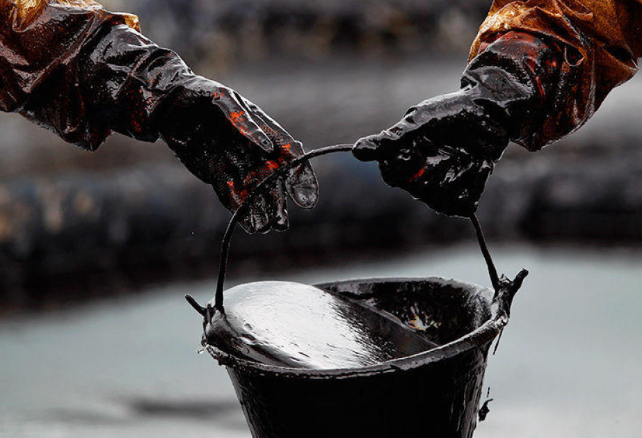 ОПЕК сохранила прогноз роста мирового спроса на нефть