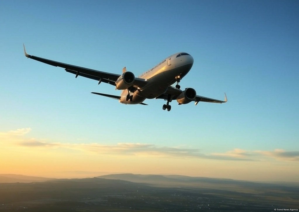 Uzbekistan Airways вновь запустила рейсы Ташкент - Тель-Авив