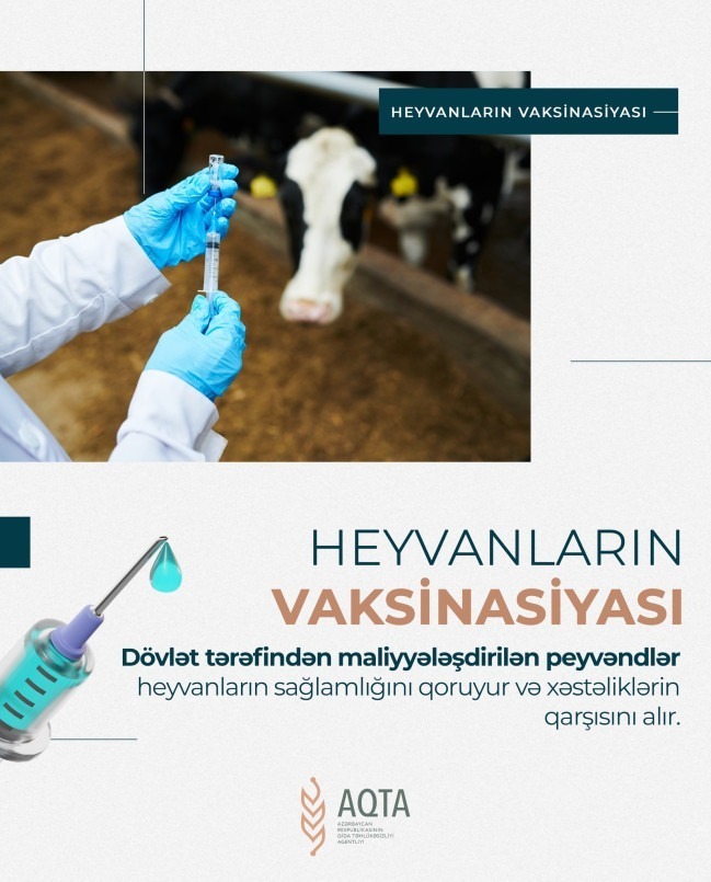 Как защитить национальное достояние