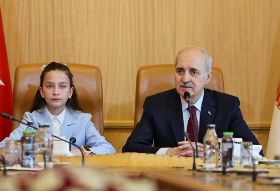 Спикер парламента Турции призвал к принятию новой Конституции
