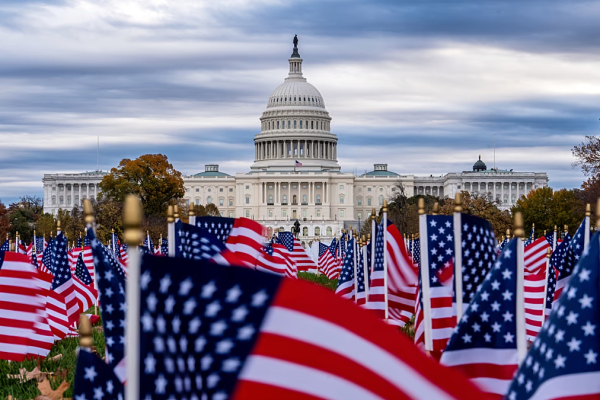 Сенат США сказал «нет»