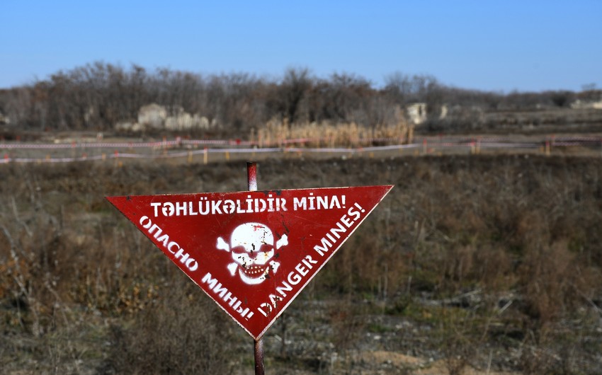ANAMA: На прошлой неделе от мин очищено свыше 1,7 тыс. га территорий