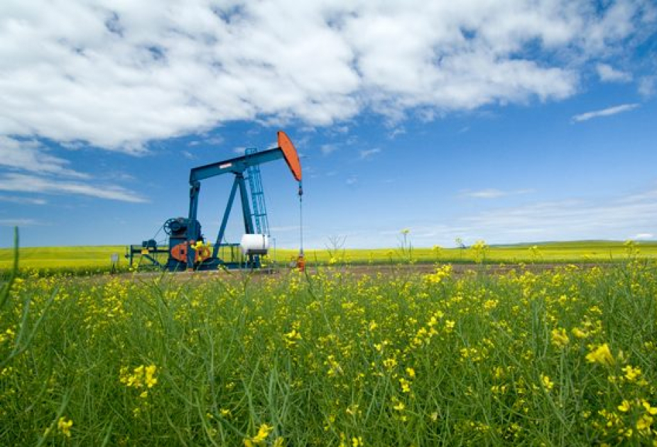 На мировых биржах цены на нефть упали