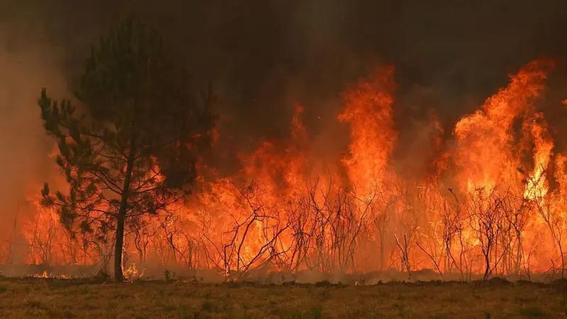 Пожары во Франции и Испании: эвакуированы более 330 тыс. человек