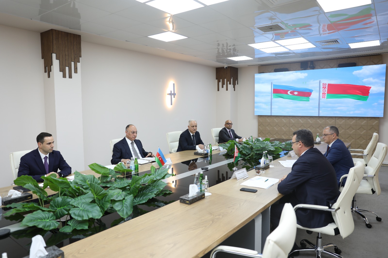 AQTA и Беларусь: от «Rabisafe» до цифровой интеграции