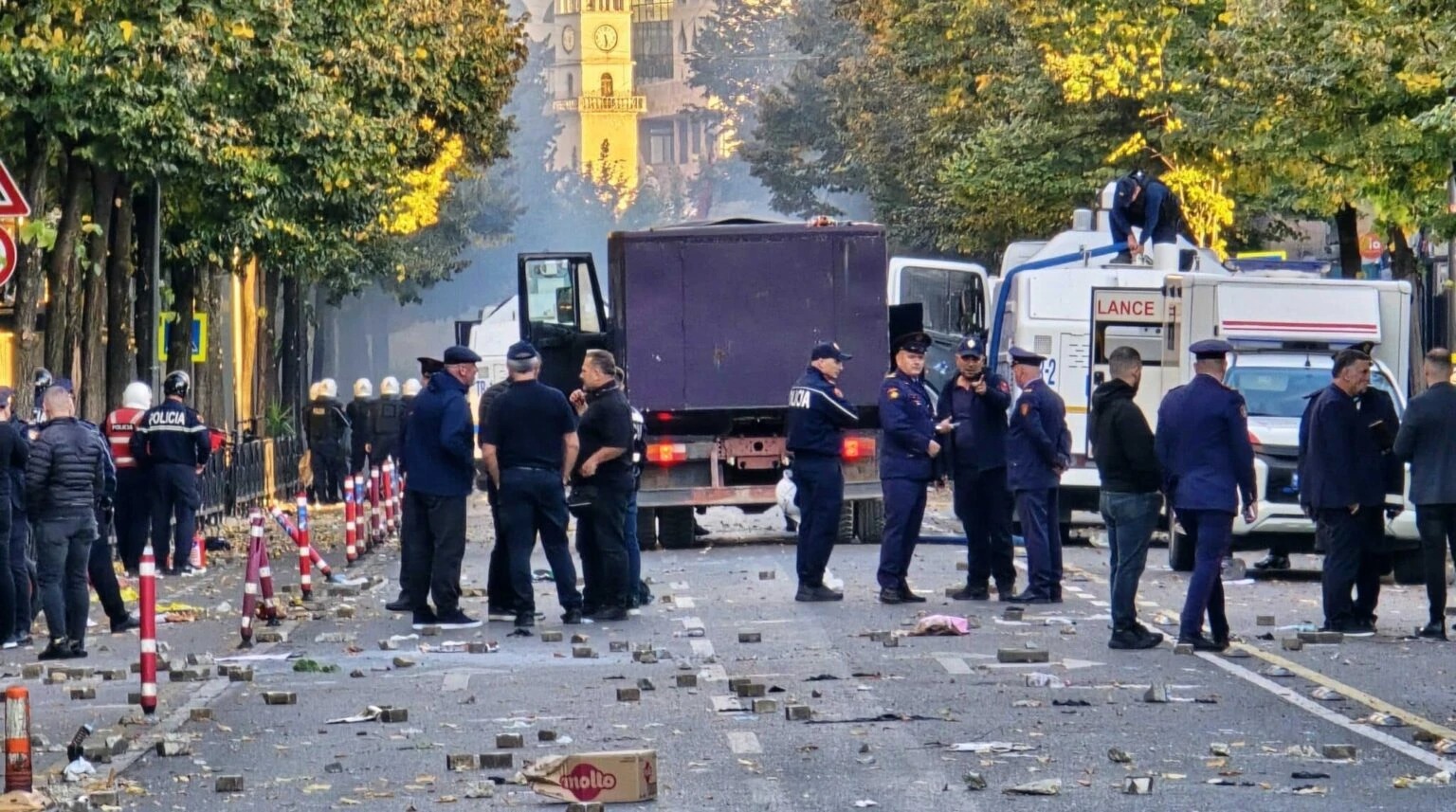 «Революция фламинго»